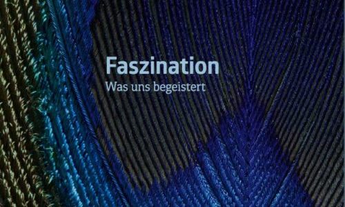 Zeitgemäße Wandlung einer 1920er-Jahre-Villa